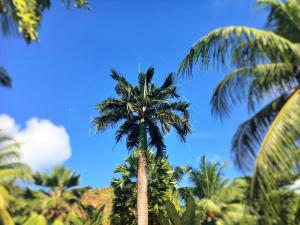 Chalets Anse Possession