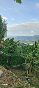 chemi kera chalet 2