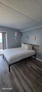 Oceanfront Efficiency T505