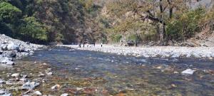 Riverstone Camps and Resorts