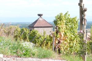 Maisons de vacances Le p'tit coin de chez nous : photos des chambres