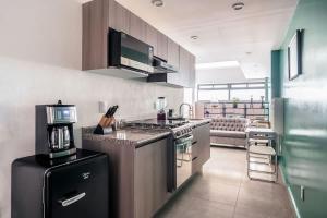 Modern Loft Reforma