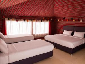 Starry Nights Camp