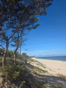 Apartament Azzurro Baltic Forest & Beach