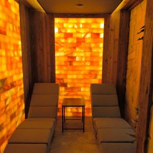 Korona Pienin Domki & Apartamenty - Apartament z Sauna i grota solna