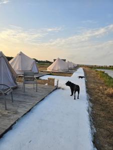 COMPORTA SIDE - Tents
