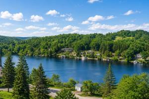 Huntsville Lakeview Retreat with Jacuzzi & Games