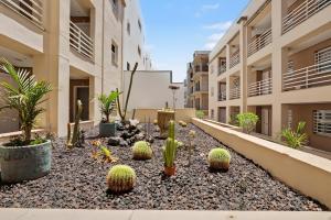 Los Cristianos plaza property