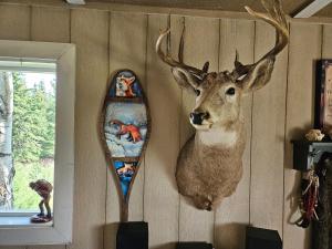 Hidden Creek Cabin