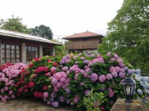 Hotel Rural Ovio