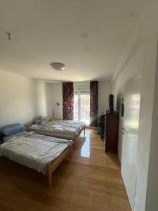 Lux apartment