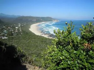 Forest Drive Holiday Home - 自然谷