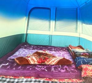 Gurez valley camping site