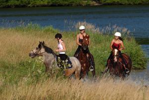 Villages vacances Madame Vacances Les Cottages De Valjoly : photos des chambres