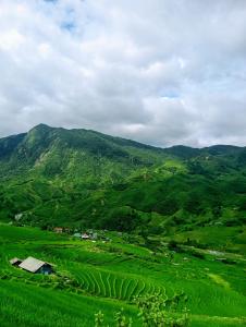 Indigo Home Stay