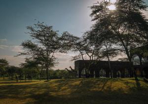 Giraffe Manor Tanzania