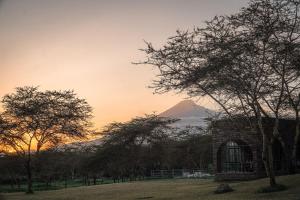 Giraffe Manor Tanzania