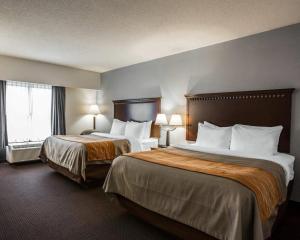 Comfort Inn & Suites Lumberton Central I-95