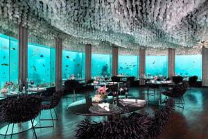 Niyama Private Islands Maldives