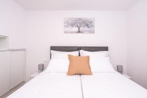 Apartment Beba