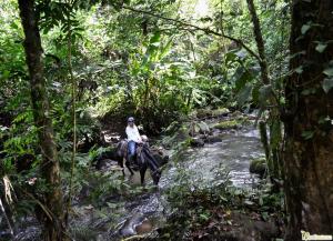 The Royal Corin Thermal Water Spa & Resort - Adults Only
