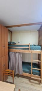 Under The Olive Hostel