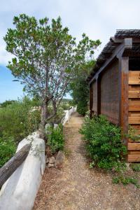 Casa Orizzonte su Tavolara-Vista Mare