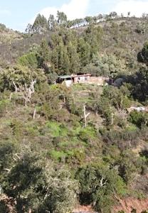 Music-Treehouse with private Lake Off Grid