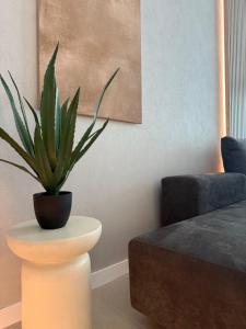 Retreat 84 in Odyssey Spa and Pools resort-parking