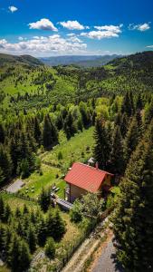 Family Nest Băișoara - Confort Premium, Wi-Fi rapid, ciubăr la cerere și view spectaculos