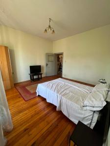 Maria Luisa Apartament