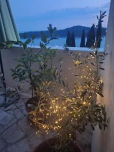 Apartment Matea Zlatni Potok
