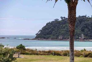 Beachfront Marine Parade