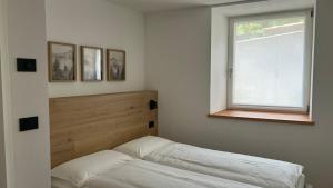 Aria di Fiemme Apartment