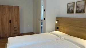 Aria di Fiemme Apartment