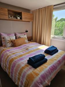 Mobilhome 2 chambres