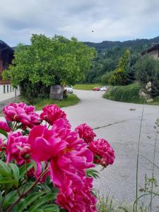 Familien-Bauernhof Neumoar