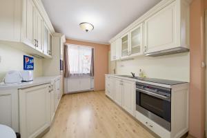 Premium Apartment with Balkony in Karlovy Vary