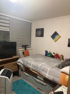 HABITACION PARA DOS cerca de todo en Santiago de Chile