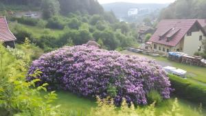 Birkenhain