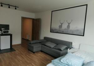 Brand new studio apartment #71 with free secure parking in the center