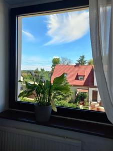 Pokój jednoosobowy blisko centrum