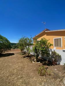 La Lidia img19