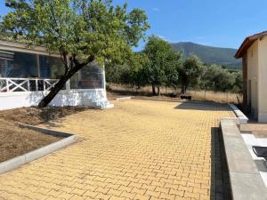 Olive Hill Guest House
