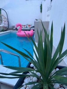 Apartmani Safir Krusevac Heated Outdoor Pool