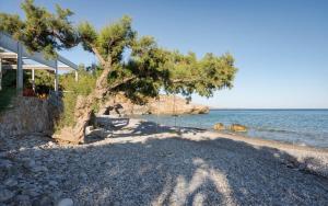 Koutelo by The Sea