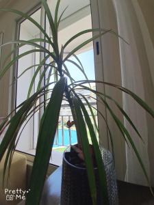 Chaleureux appartement