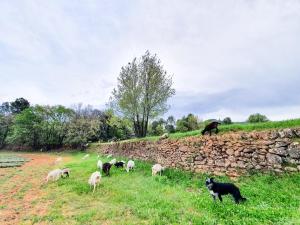 Artist Villa 8P Private Pool, Jacuzzi, 1 hectare next typical Provençal village