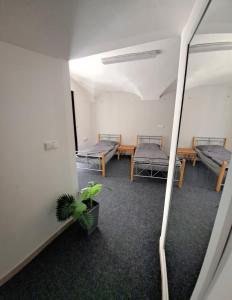Ubytovna u Zámku