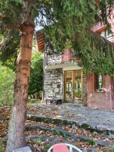 Secret Mountain Retreat Valle Cannobina (for nature Lovers only)